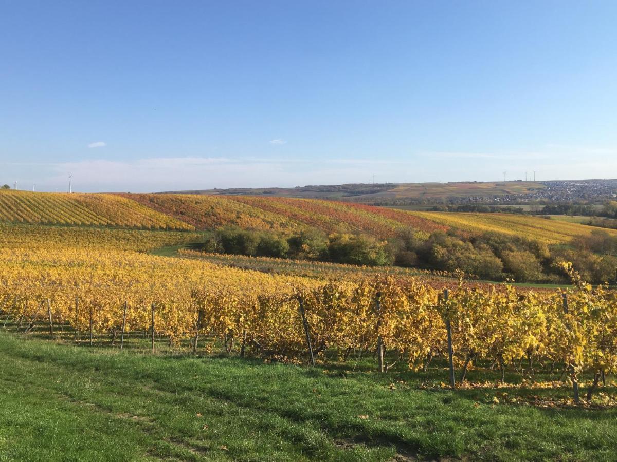 Rheinhessen Apartment Nieder-Olm  Экстерьер фото